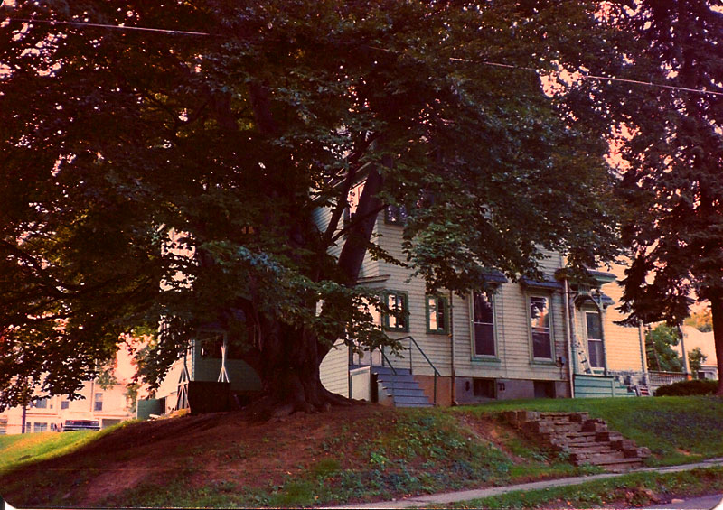 1984, east side view of 208 Chemung Street