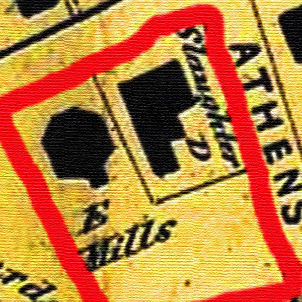 1869 map showing the octago house and 208 Chemung street house