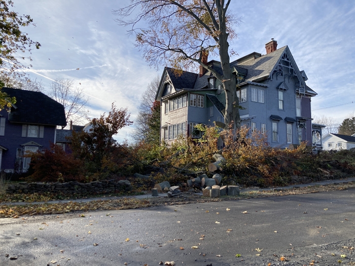 2023, view from Athens street of back of house and east side of house, during the process of having the European Copper / Purple beech tree taken down
