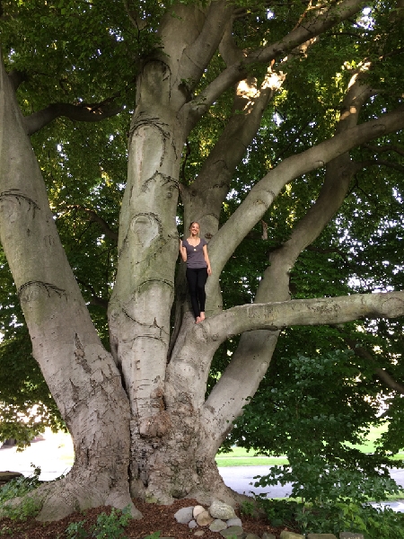 August 24, 2018, Nicole on a branch of the tree