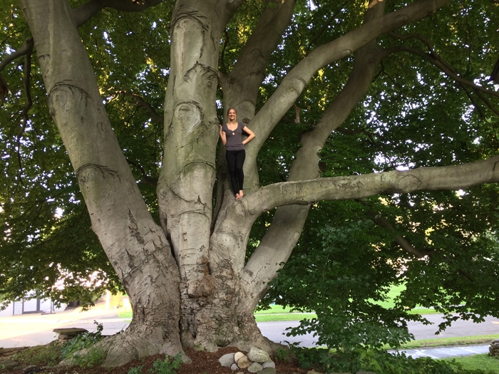 Nicole 2018 on a branch of the tree