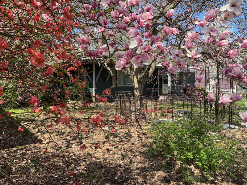 Bungalow at Zehr Estate